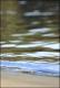 Filmstrip Thumbnail