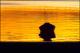 Filmstrip Thumbnail