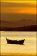 Filmstrip Thumbnail