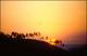 Filmstrip Thumbnail