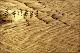 Filmstrip Thumbnail