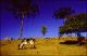 Filmstrip Thumbnail