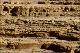 Filmstrip Thumbnail