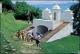 Filmstrip Thumbnail