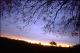 Filmstrip Thumbnail