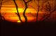 Filmstrip Thumbnail