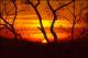 Filmstrip Thumbnail