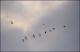Filmstrip Thumbnail