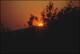 Filmstrip Thumbnail