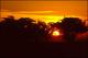 Filmstrip Thumbnail
