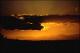 Filmstrip Thumbnail