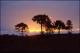 Filmstrip Thumbnail