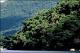 Filmstrip Thumbnail