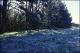 Filmstrip Thumbnail