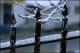 Filmstrip Thumbnail