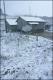 Filmstrip Thumbnail