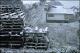 Filmstrip Thumbnail