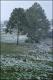 Filmstrip Thumbnail