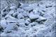 Filmstrip Thumbnail