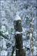 Filmstrip Thumbnail