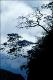 Filmstrip Thumbnail