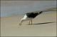 Filmstrip Thumbnail