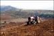 Filmstrip Thumbnail