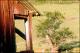 Filmstrip Thumbnail