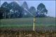 Filmstrip Thumbnail