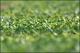 Filmstrip Thumbnail