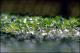 Filmstrip Thumbnail