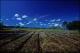 Filmstrip Thumbnail