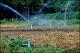 Filmstrip Thumbnail