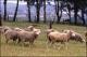 Filmstrip Thumbnail