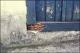Filmstrip Thumbnail