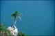 Filmstrip Thumbnail