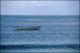Filmstrip Thumbnail