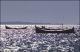 Filmstrip Thumbnail